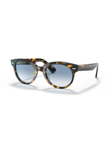 Ray Ban RB 2199 - 13323F Occhiali da Sole